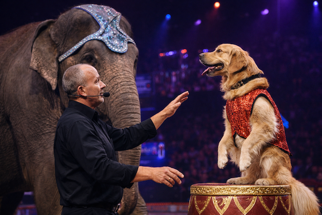 Tips for Working with Animals on Stage